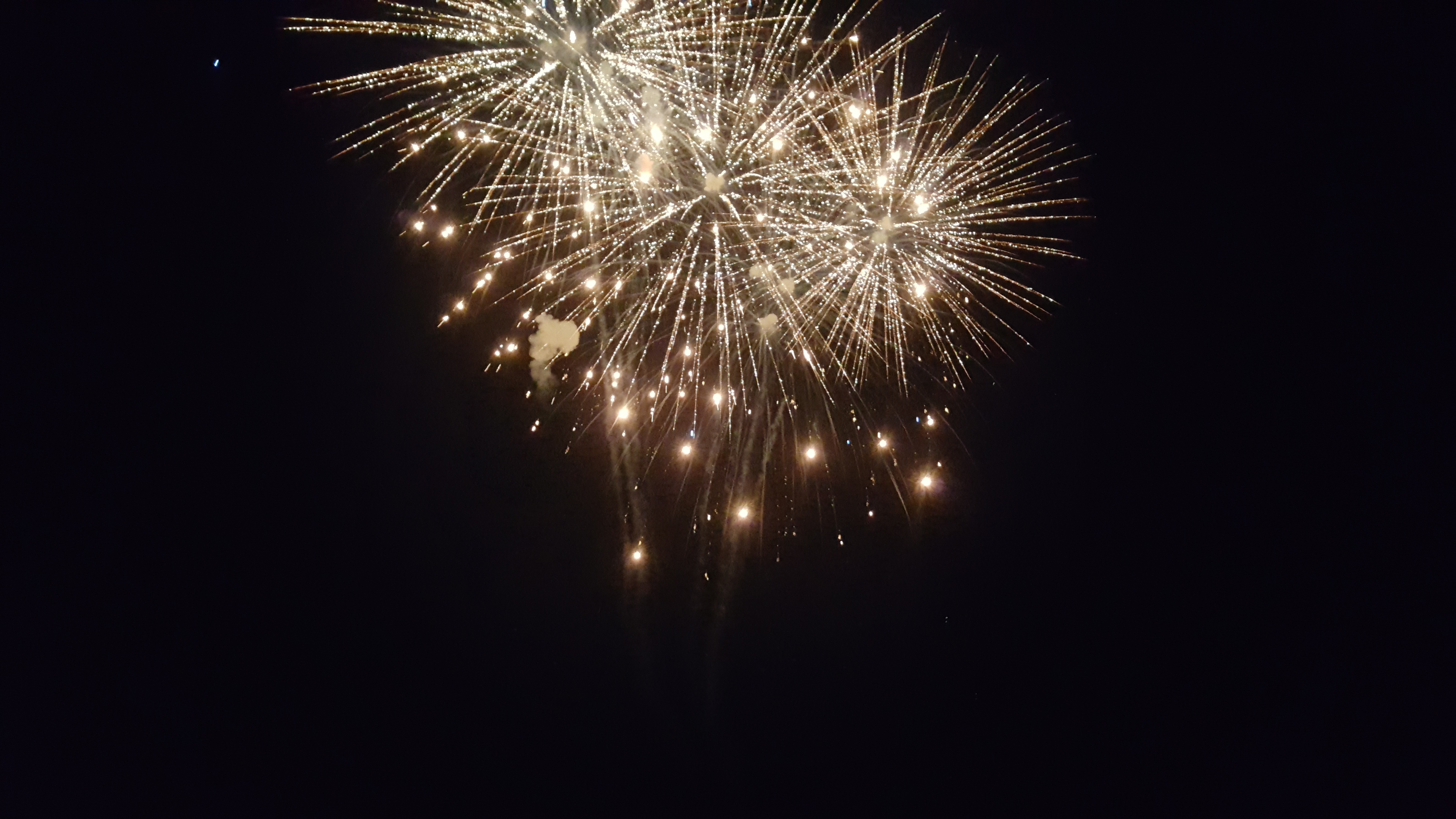 Sicherheitswache Feuerwerk 2019